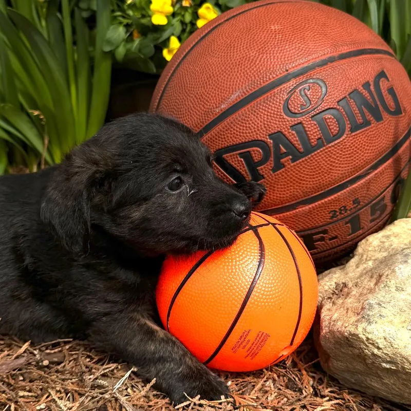 George Mason thumbnail 5