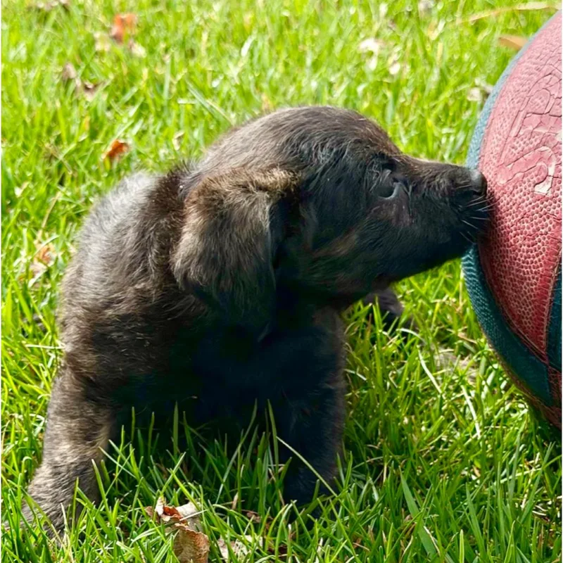 George Mason thumbnail 6