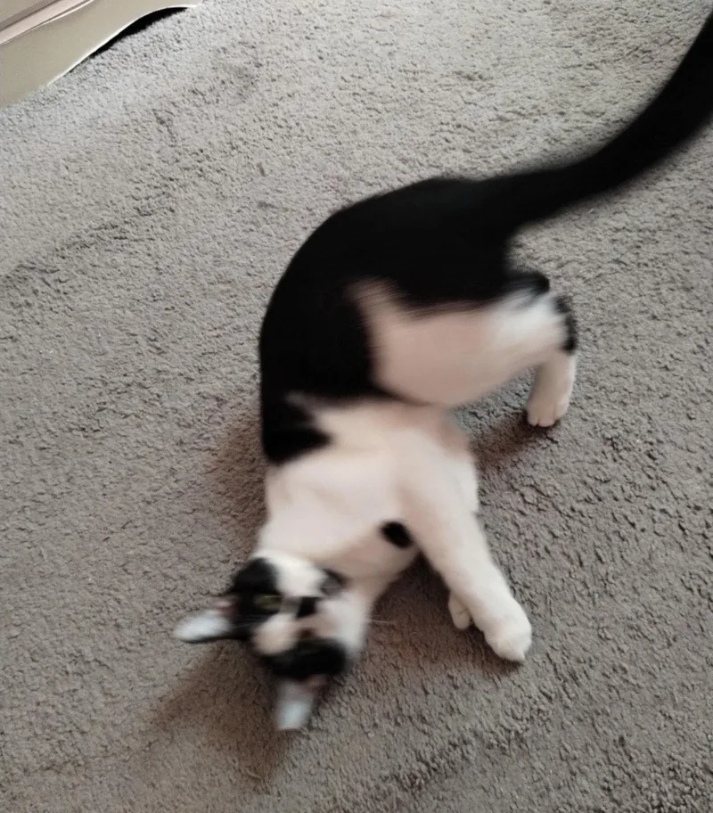Tiny