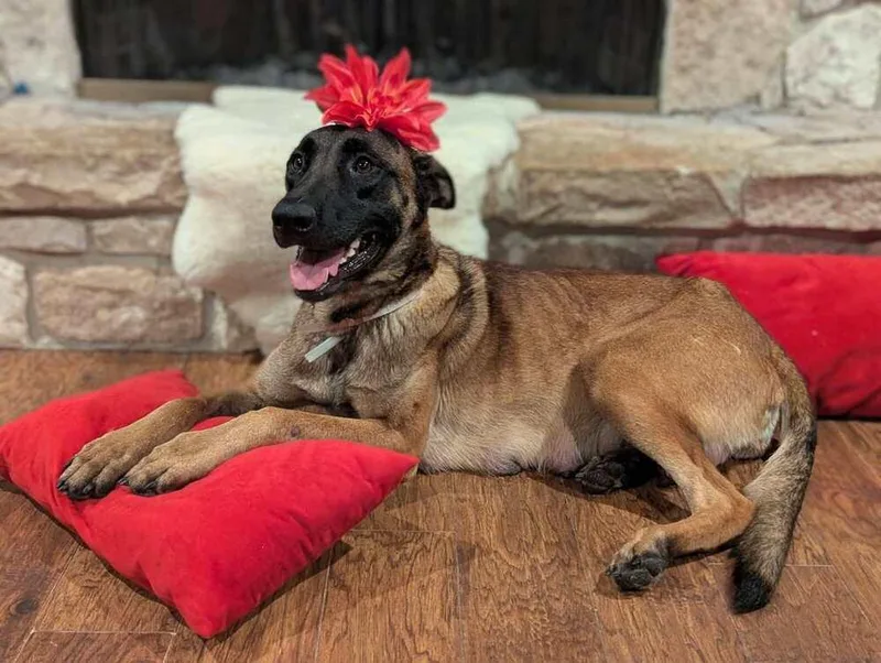 Stormy Skye  Located thumbnail 2