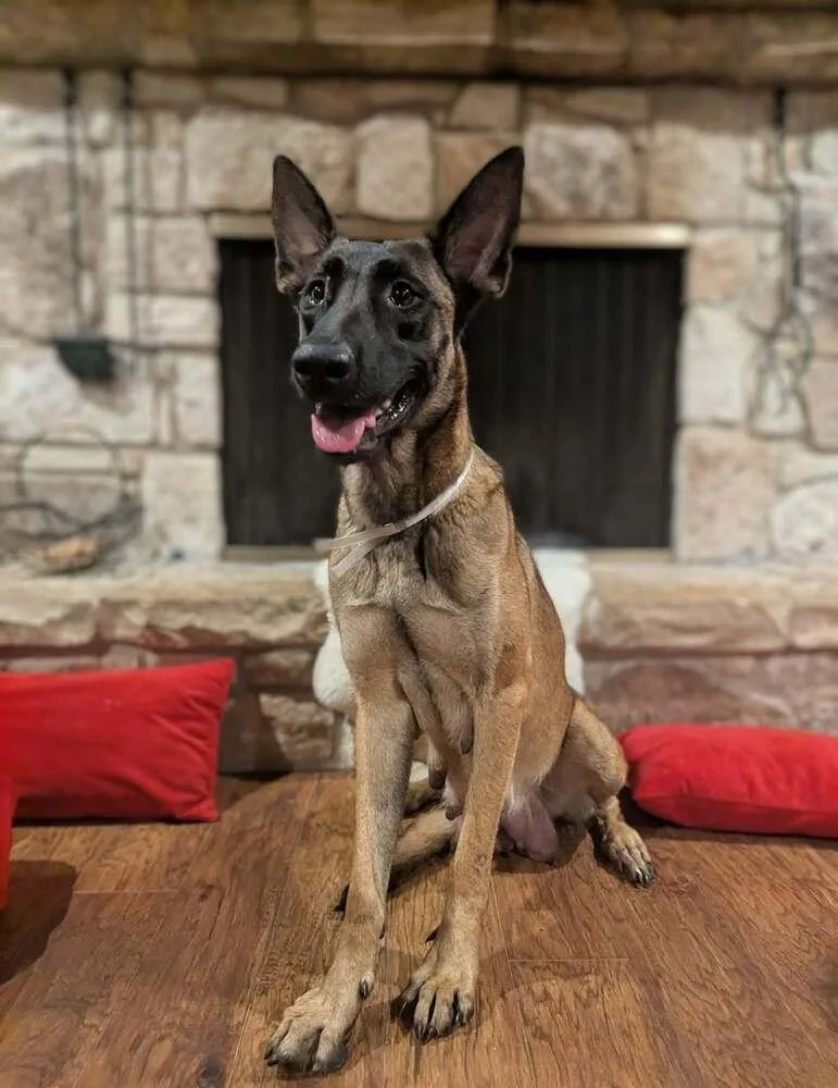 Stormy Skye  Located thumbnail 3