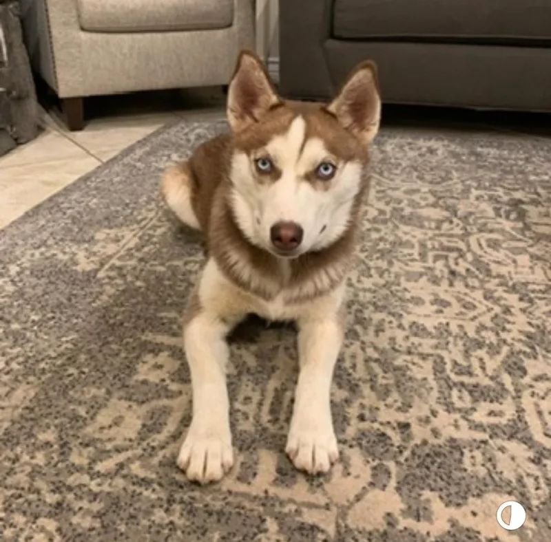Kira