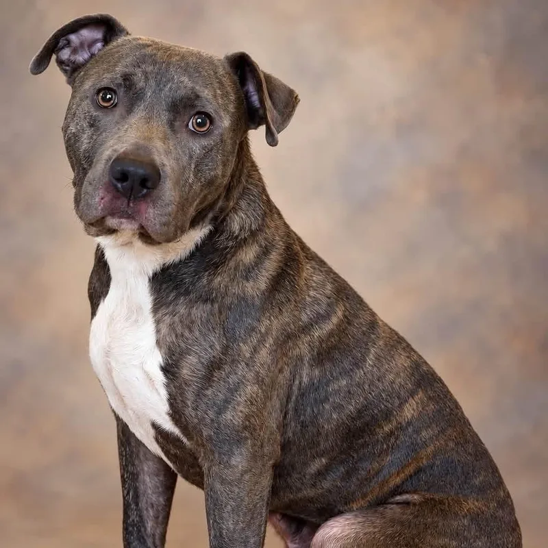 Freddie thumbnail 2