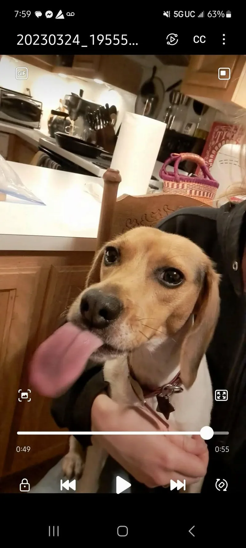 Shiloh