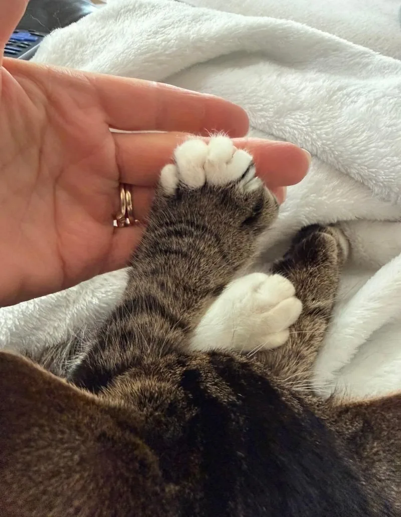 Lolly At Avon Petco!! thumbnail 6