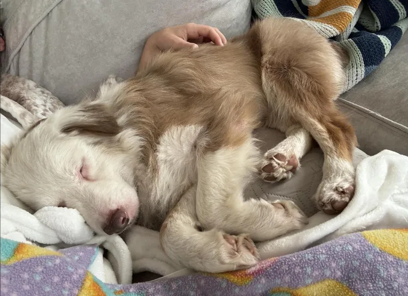 Georgia  Falcore thumbnail 5