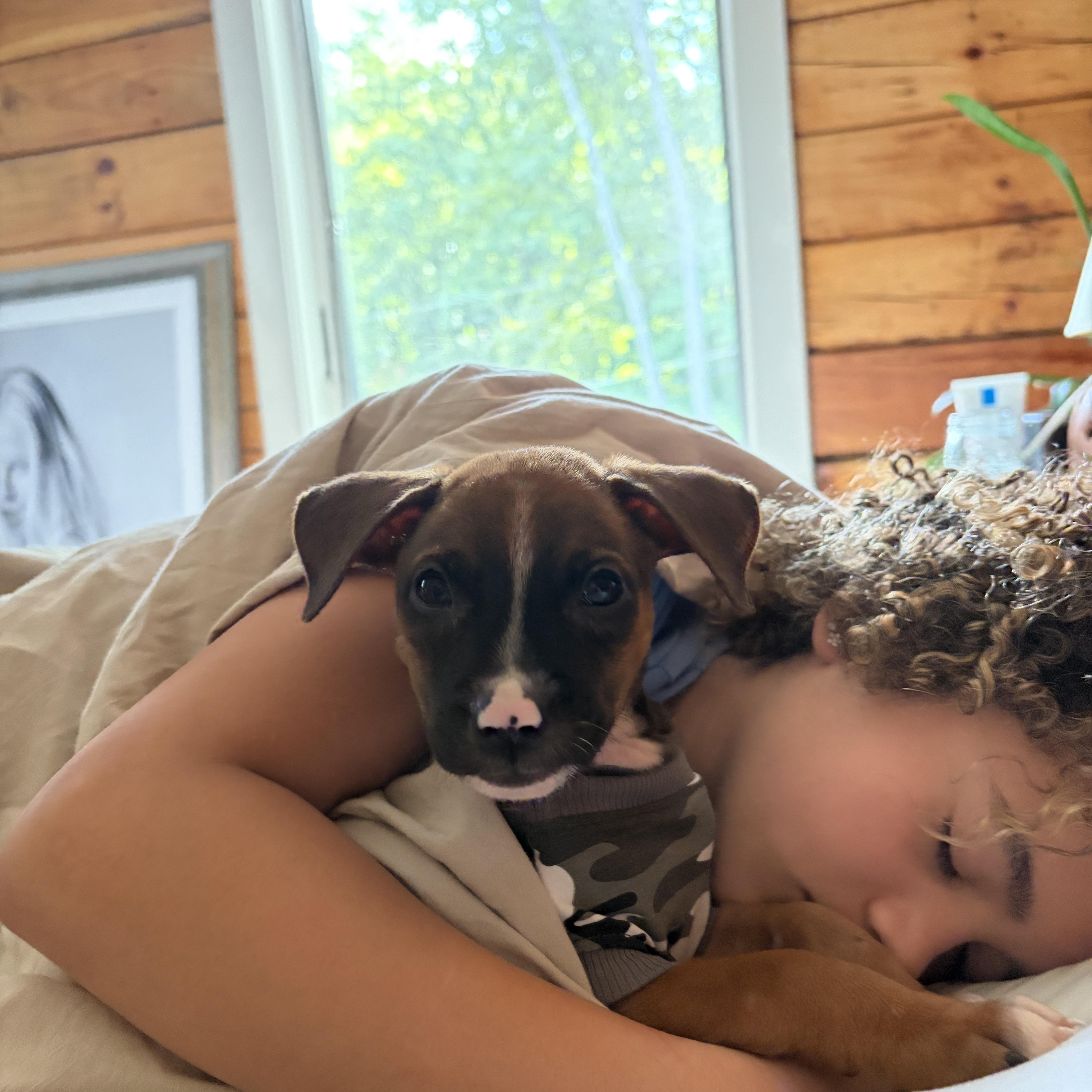 Mack  The Snuggle thumbnail 5