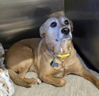 Zoey Cece thumbnail 2