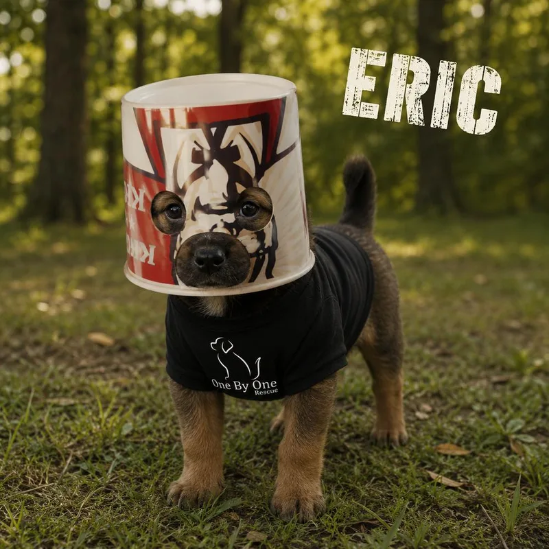 Eric thumbnail 5