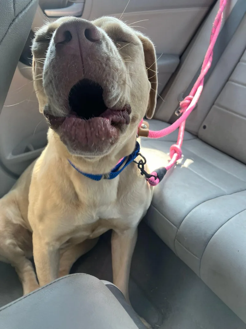 Goldie Hawn thumbnail 3