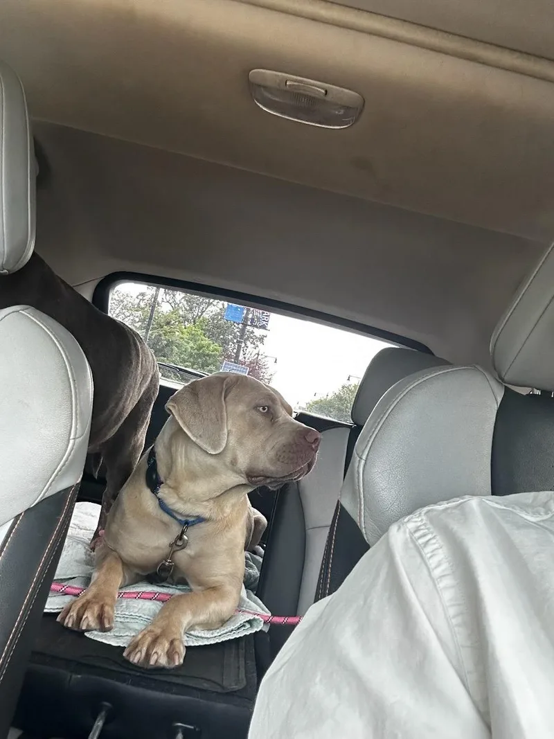 Goldie Hawn thumbnail 5