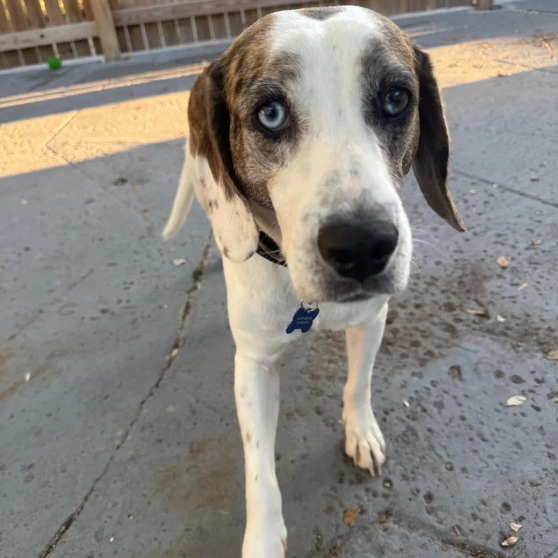 Mackenzie thumbnail 3