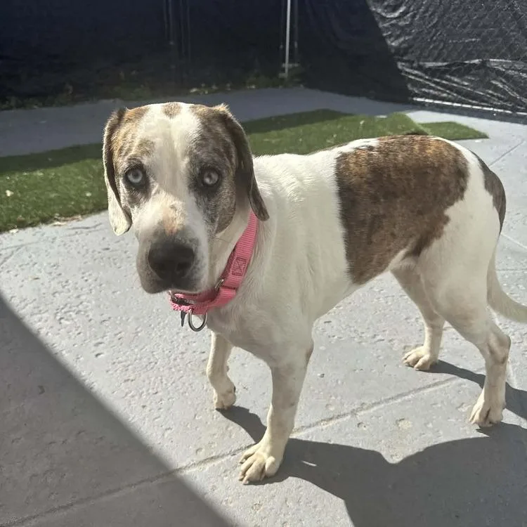 Mackenzie thumbnail 4