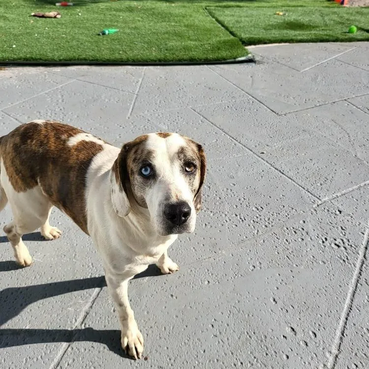 Mackenzie thumbnail 5