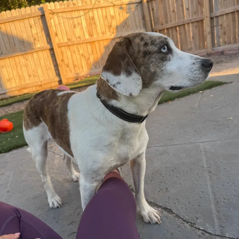 Mackenzie thumbnail 6