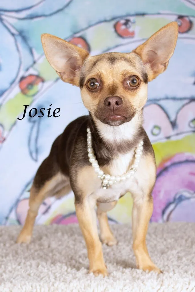 Josie