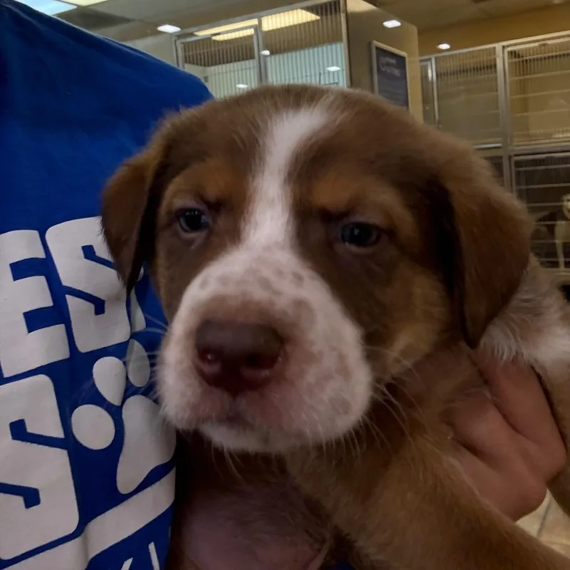 Fwt Timon thumbnail 2