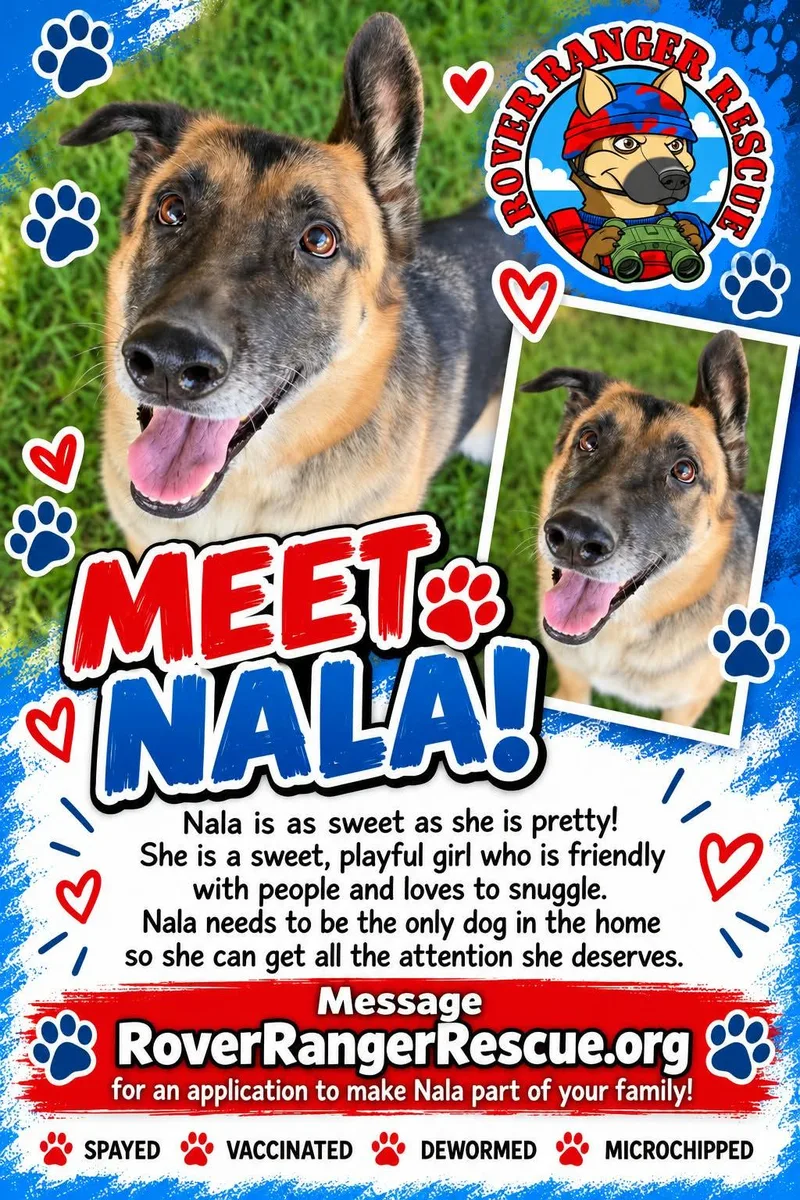 Nala thumbnail 2