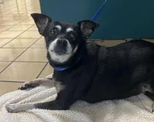 Urgent! One Week Left