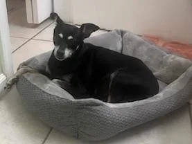 Urgent! One Week Left thumbnail 2