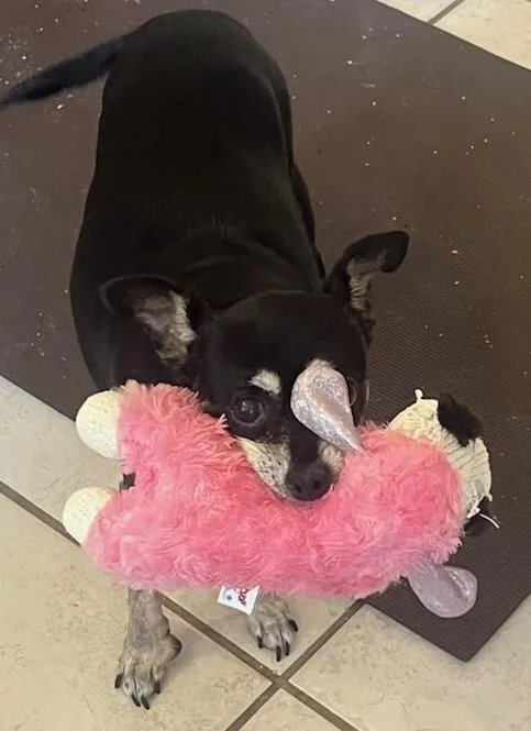 Urgent! One Week Left thumbnail 3