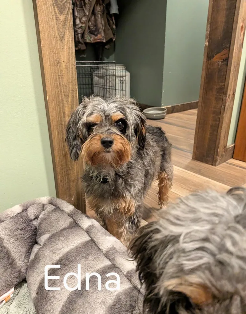 Edna thumbnail 3