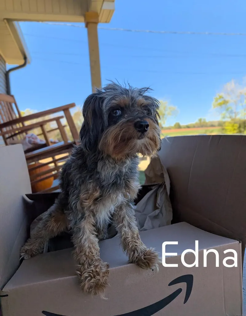 Edna thumbnail 5