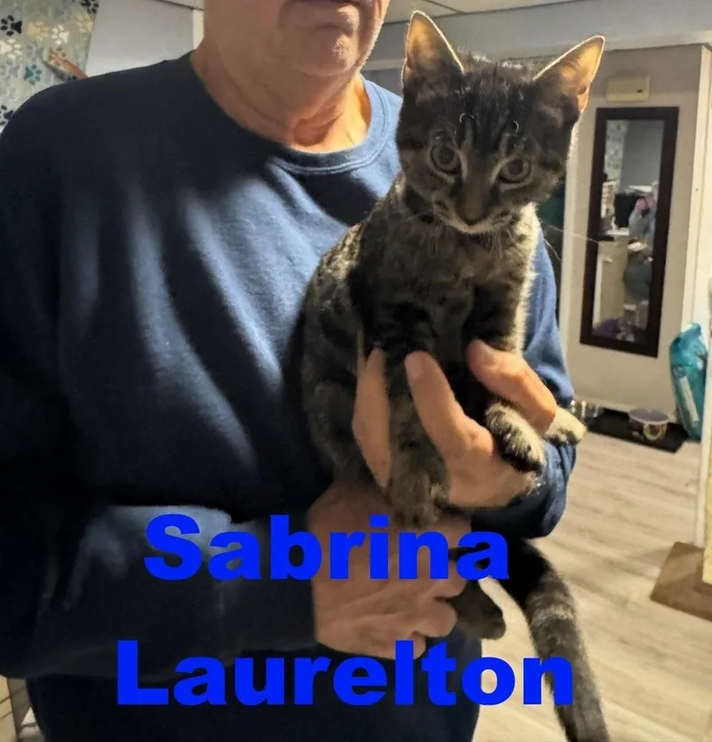 Sabrina Laurelton