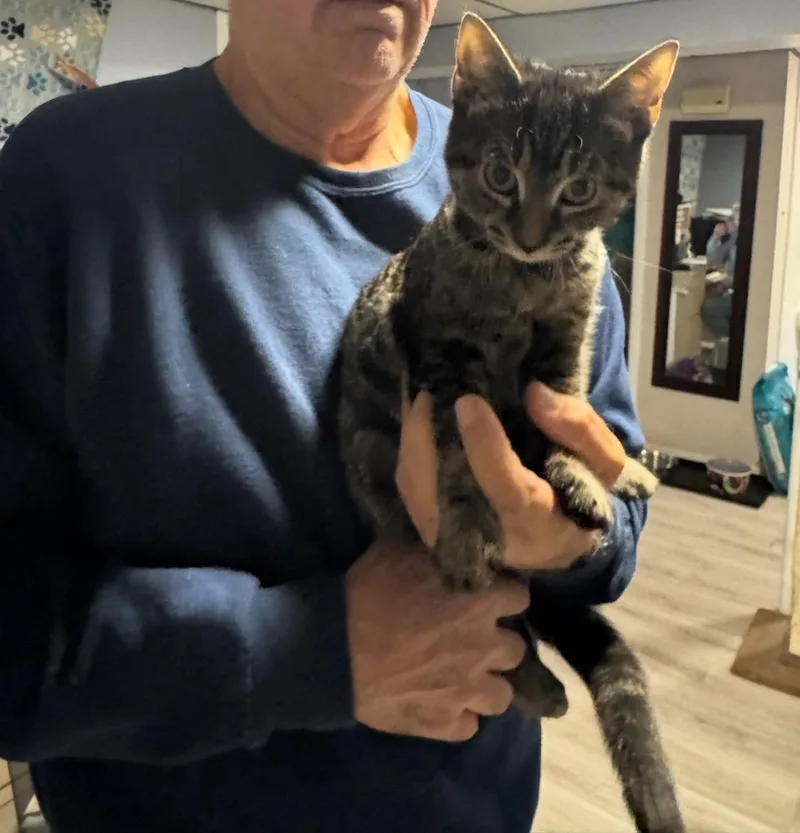 Sabrina Laurelton thumbnail 2