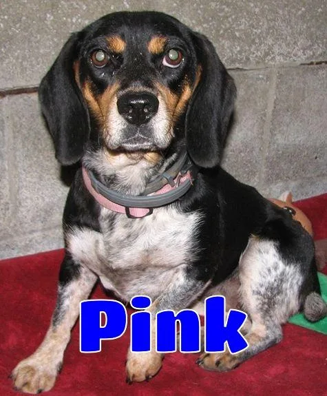 Pink thumbnail 5