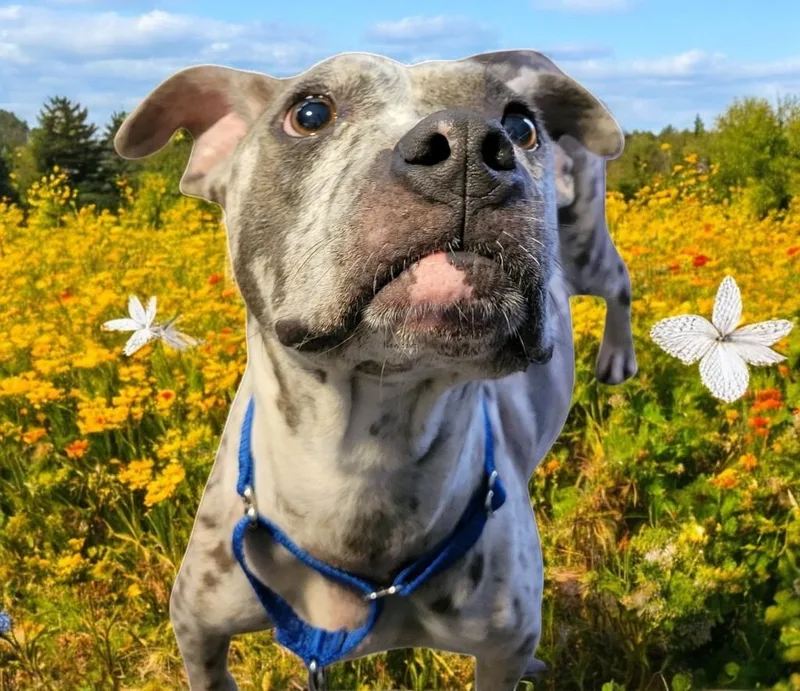 Margeaux thumbnail 2