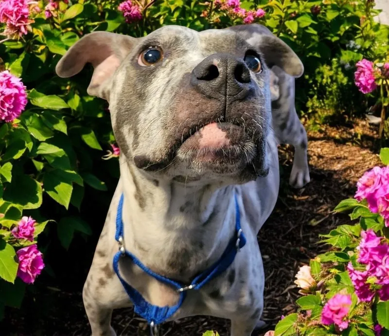 Margeaux thumbnail 5