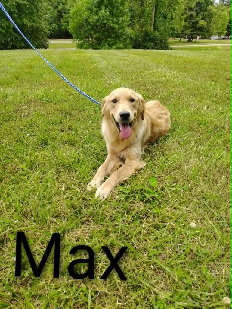 Max