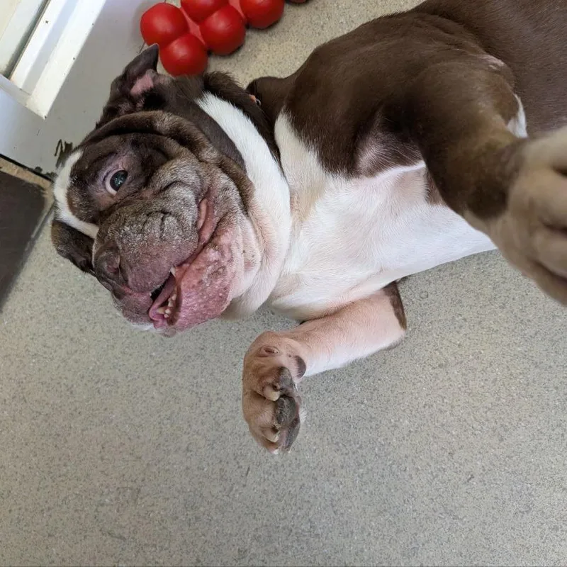 Wrinkles thumbnail 2