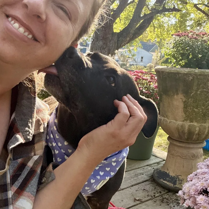 Lola thumbnail 3