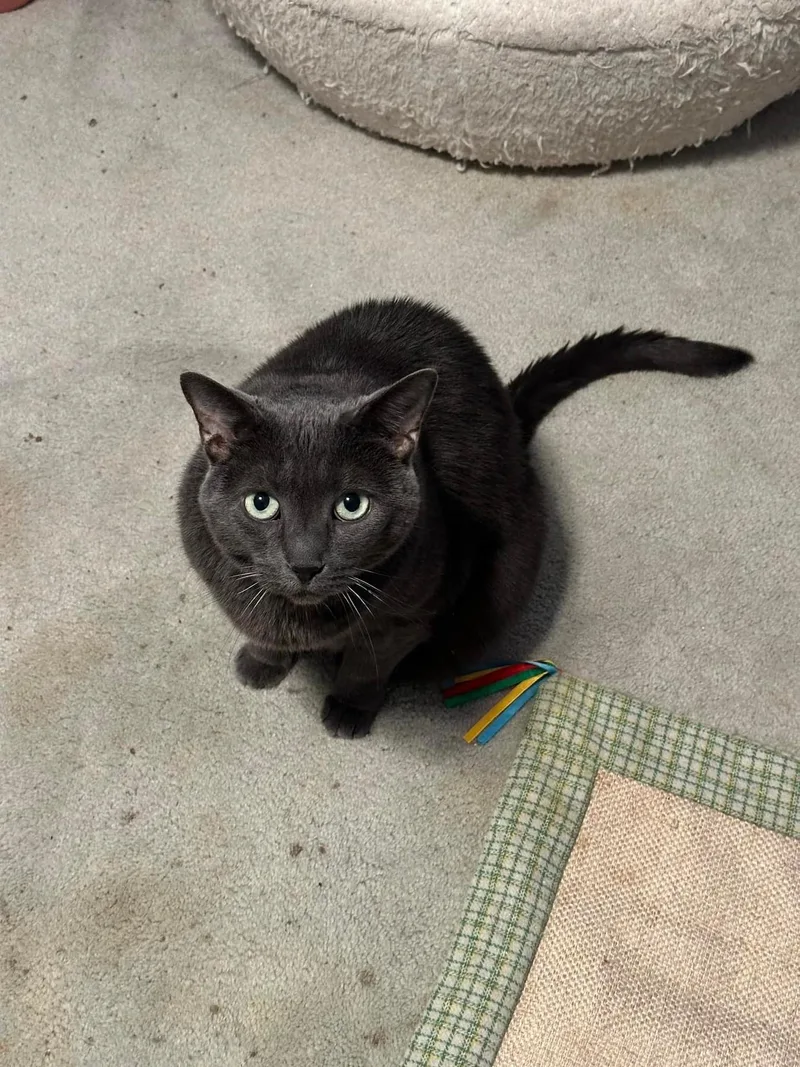 Abby  Fee Sponsored thumbnail 2