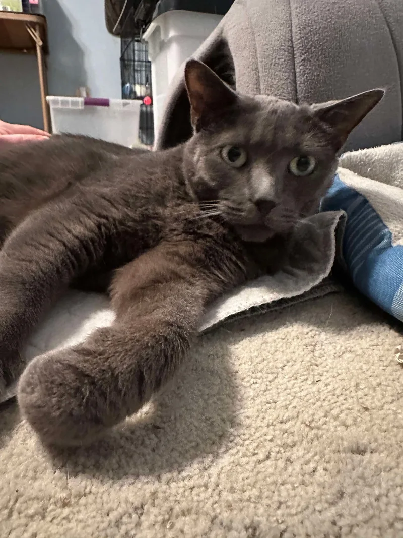 Abby  Fee Sponsored thumbnail 3