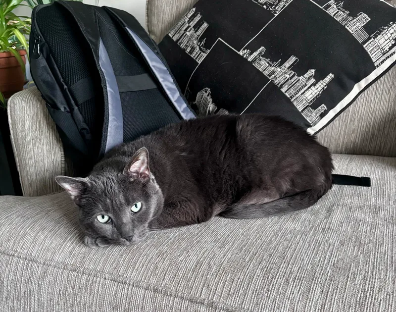 Abby  Fee Sponsored thumbnail 4