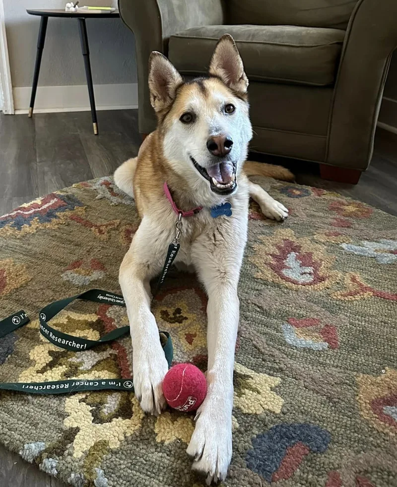 Pippi Longstocking thumbnail 3