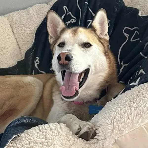 Pippi Longstocking thumbnail 5