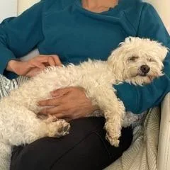 Snowflake thumbnail 5