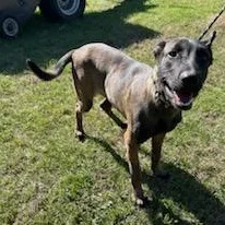 Franklin thumbnail 2