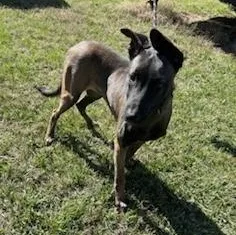 Franklin thumbnail 3