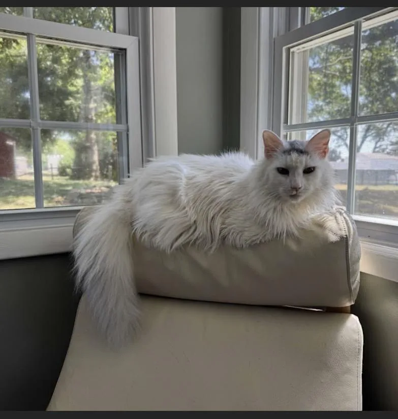 Benny