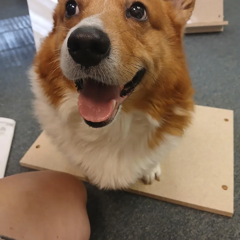 Cooper