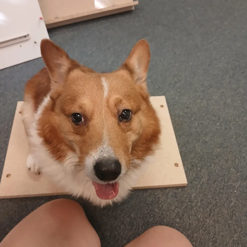 Cooper thumbnail 2