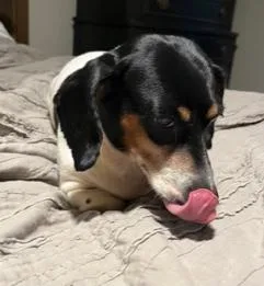 Sammie thumbnail 2