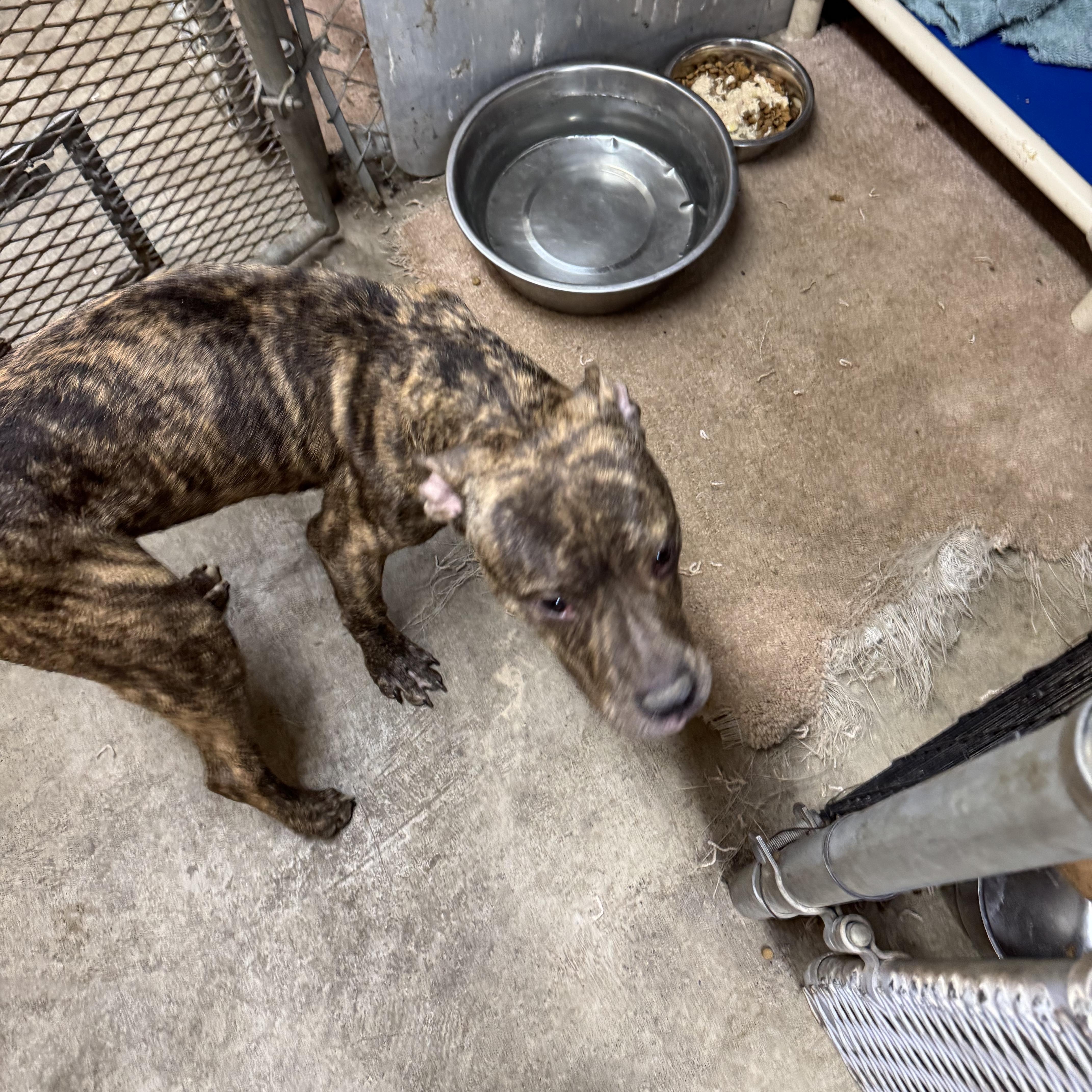 Meet Taylor  A thumbnail 2