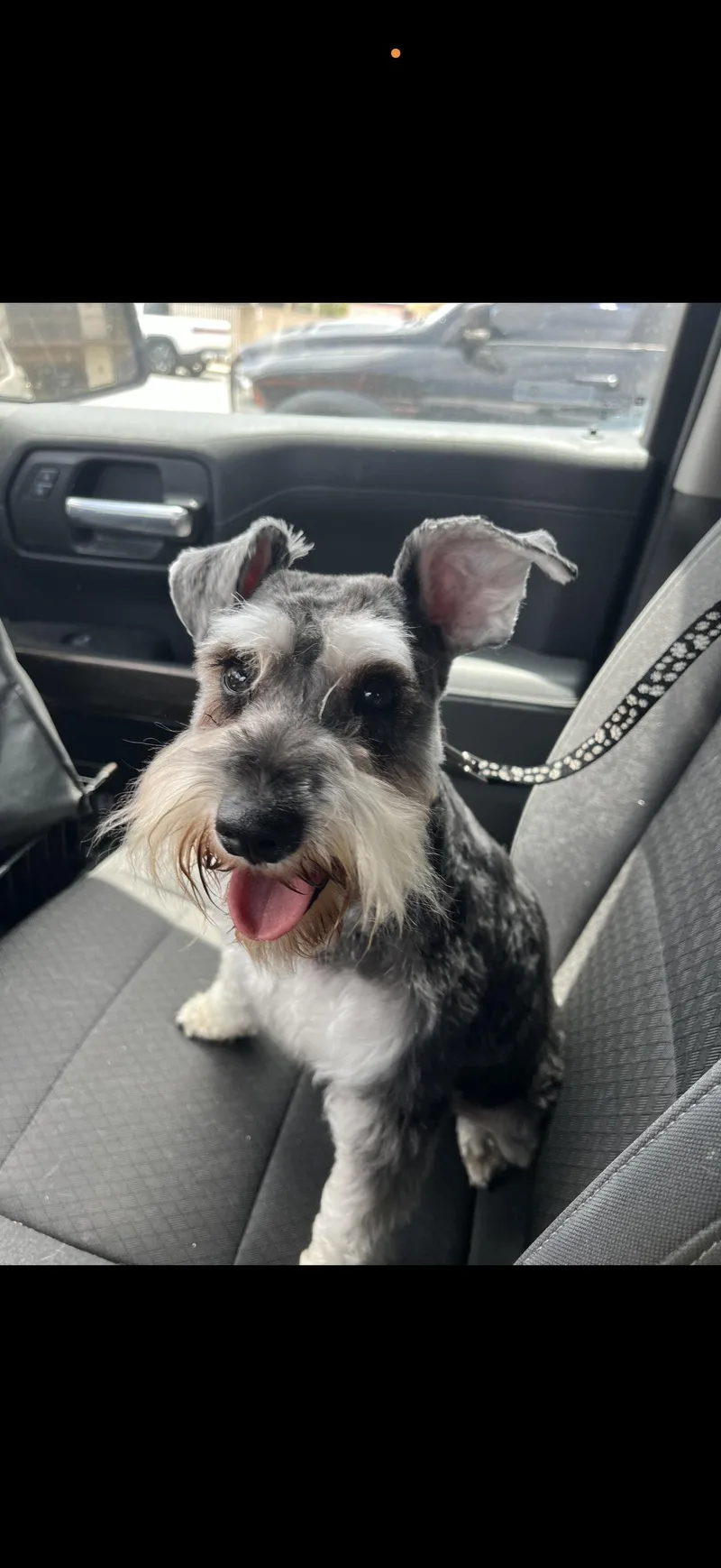 Lexi  The Stunning thumbnail 5