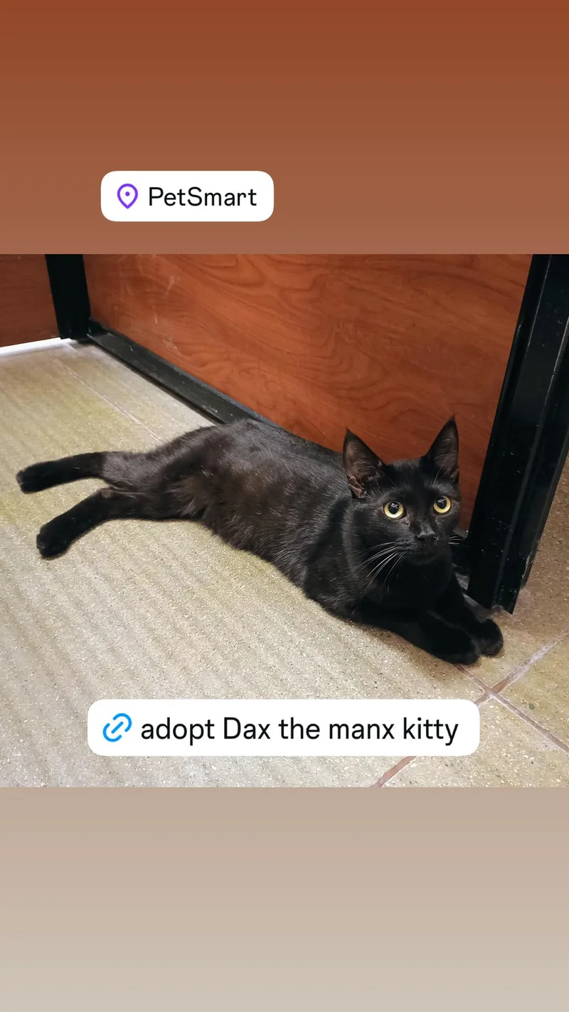 Dax aka Babyface thumbnail 2